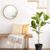 39" Faux Audrey Ficus Tree - Hearth & Hand™ With Magnolia 2 39" Faux Audrey Ficus Tree - Hearth & Hand™ With Magnolia -Home Furnishings Shop GUEST 36377d3d e506 4c79 a29d 1650c2cba41f