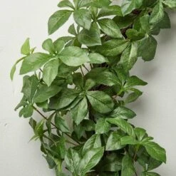 24" Faux Gypsophila Wreath - Hearth & Hand™ With Magnolia -Home Furnishings Shop GUEST d5e86c6f a0af 49f0 9985 50738c58edc3